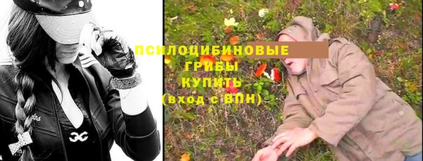 ALPHA PVP Бородино