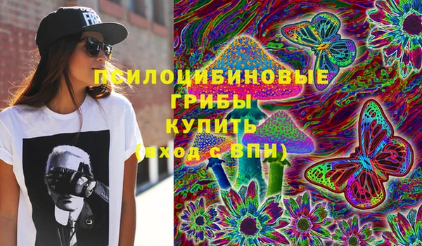 шишки Бронницы