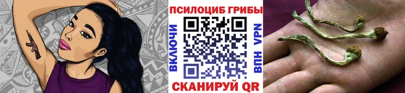 Купить закладки  Янаул  Псилоцибиновые грибы мицелий 